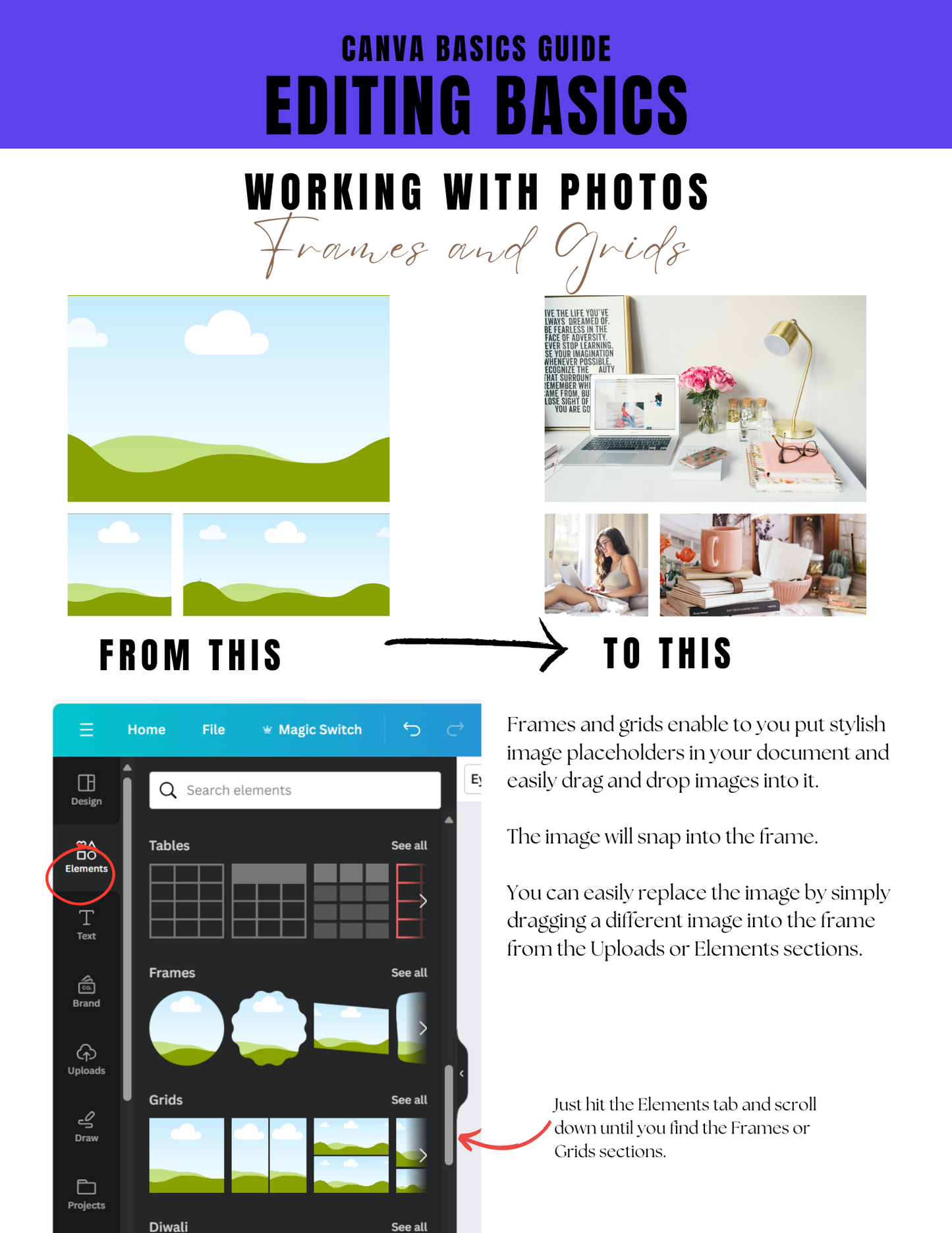 Canva Essentials 101 Guide to being a PRO